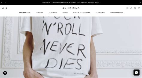 Anine Bing website